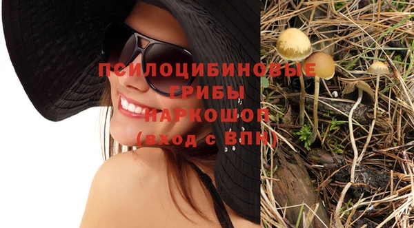 мдпв Касимов