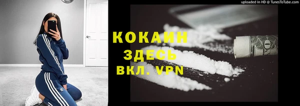 мдпв Касимов